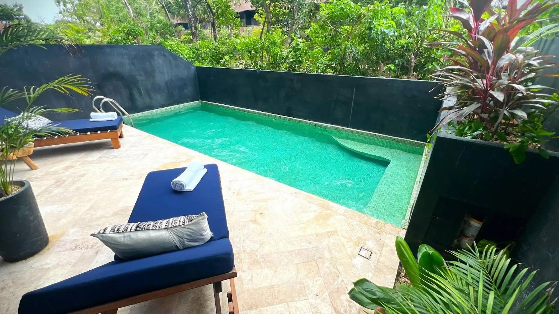 Maison Pierre Leroy - Private Pool High Speed Wifi Tulum